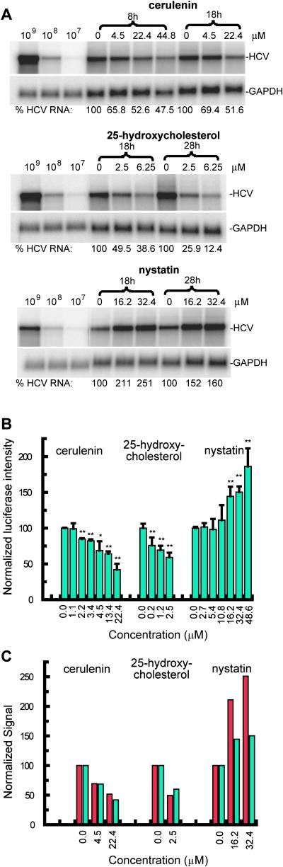 Fig 3.