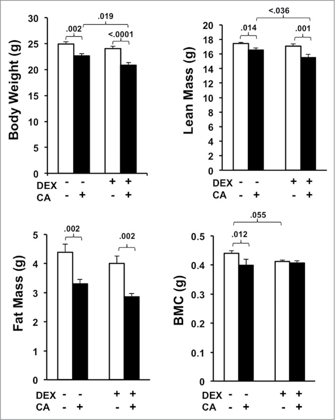 Figure 7.