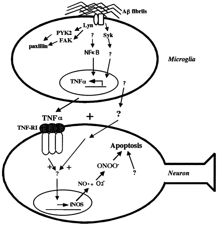 Fig. 9.