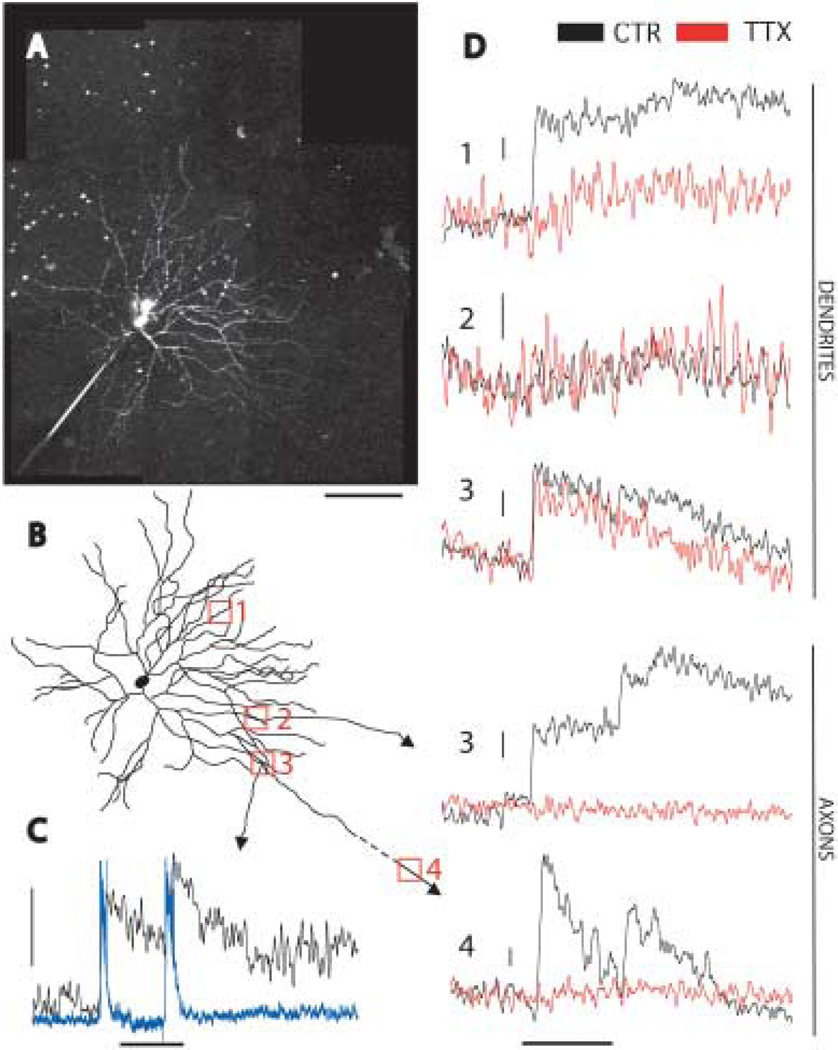 Fig. 7