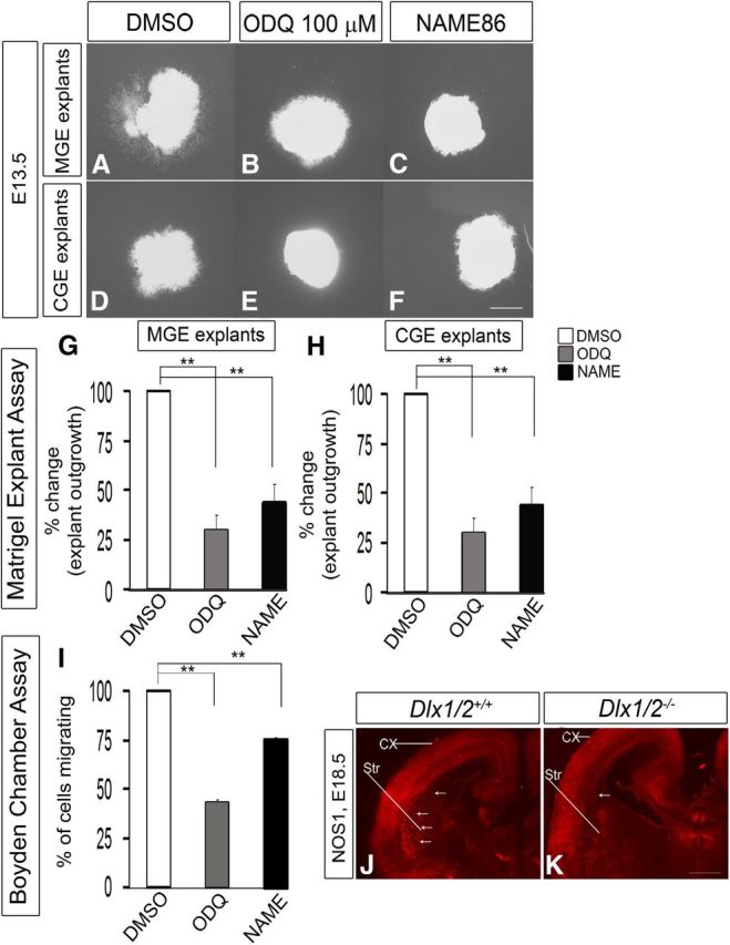 Figure 10.