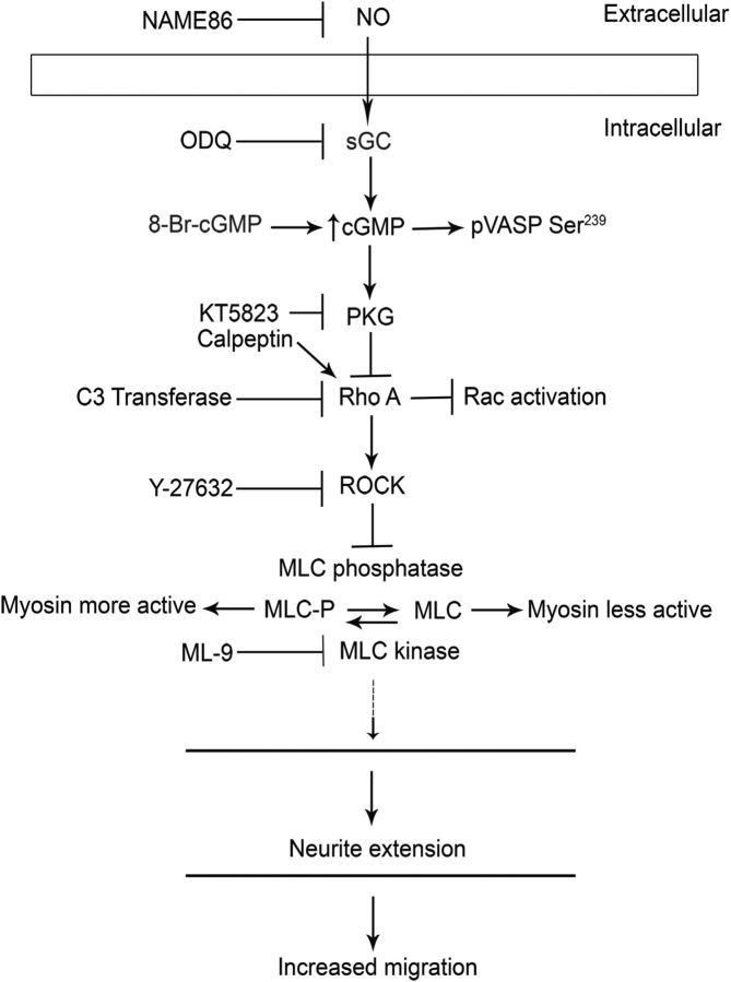 Figure 14.