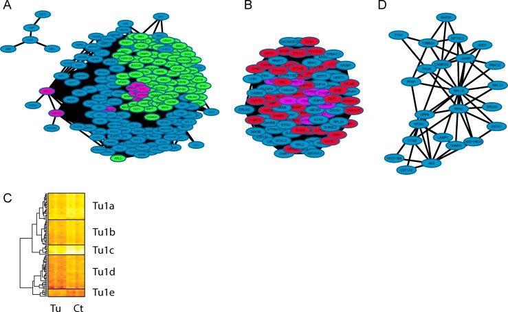 Fig 7