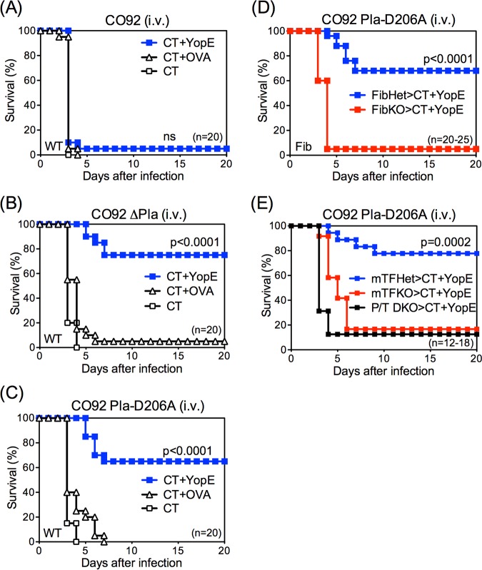 FIG 3