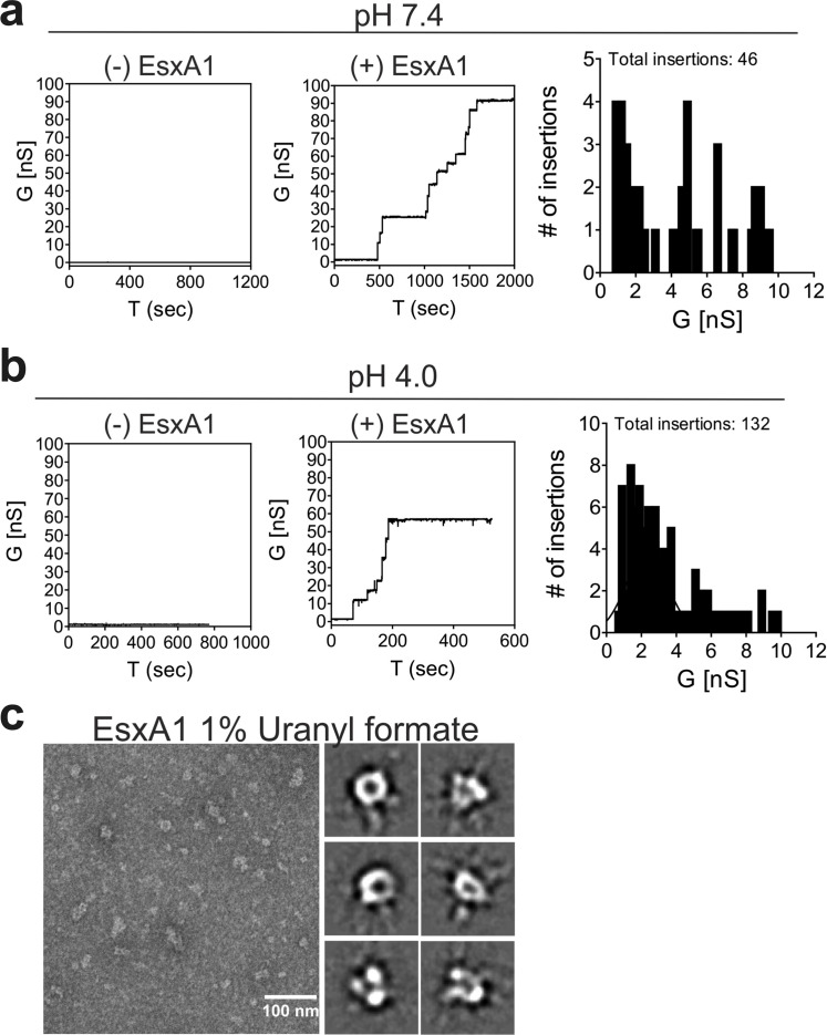 Fig 6