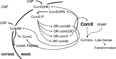 FIG. 1.