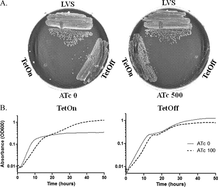 Fig 6