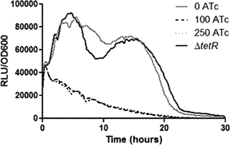 Fig 5