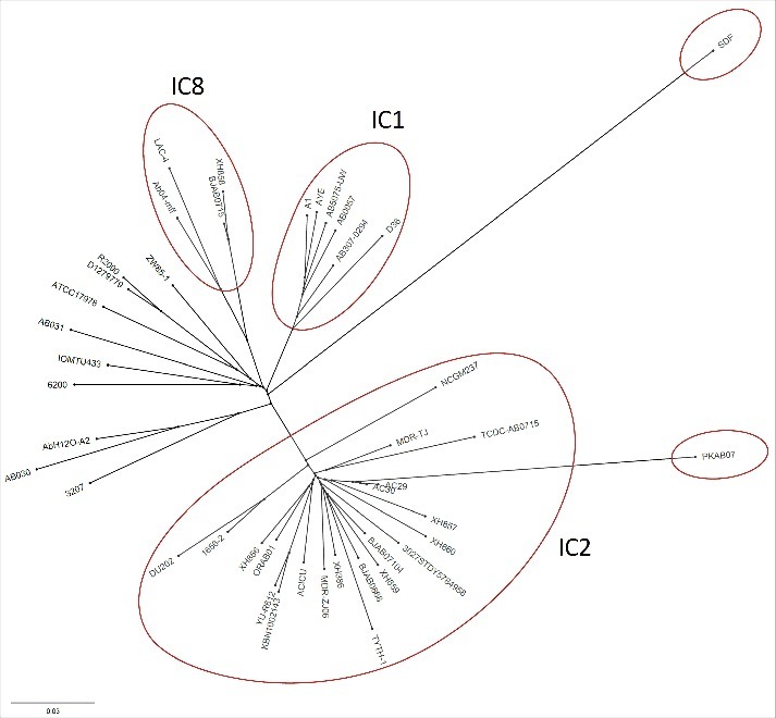 Figure 2.