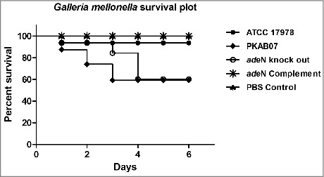 Figure 10.