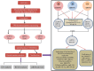Graphical Abstract