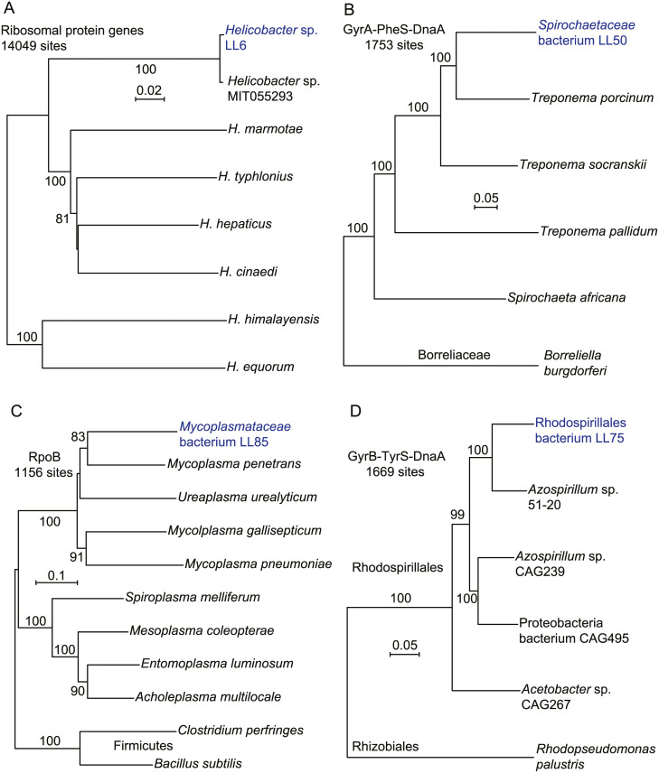 Fig 4