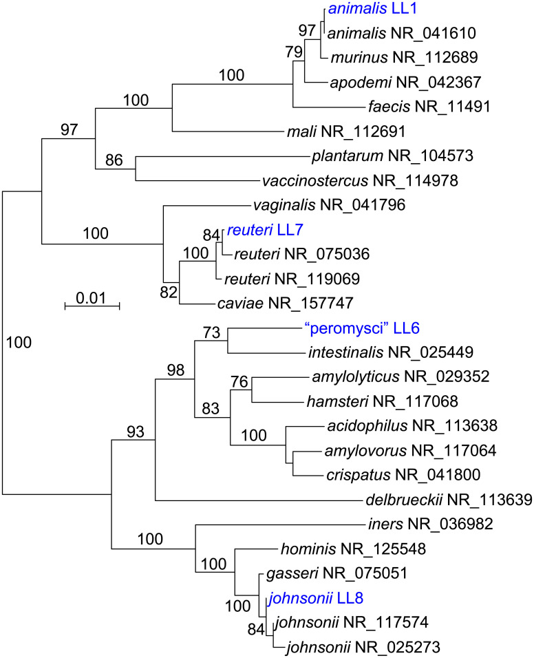 Fig 2