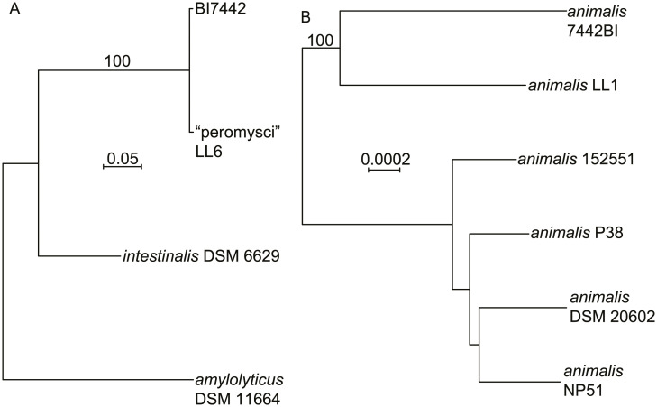 Fig 15