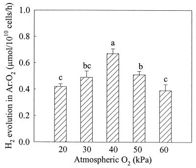 FIG. 6