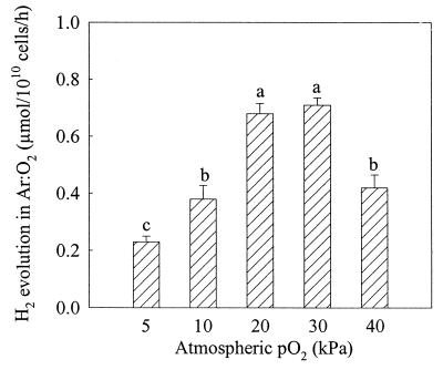 FIG. 5