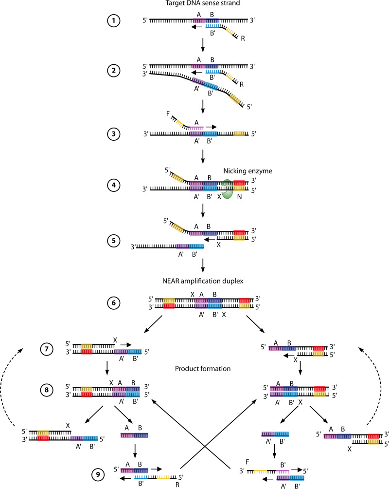 FIG 6