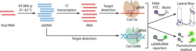 FIG 8