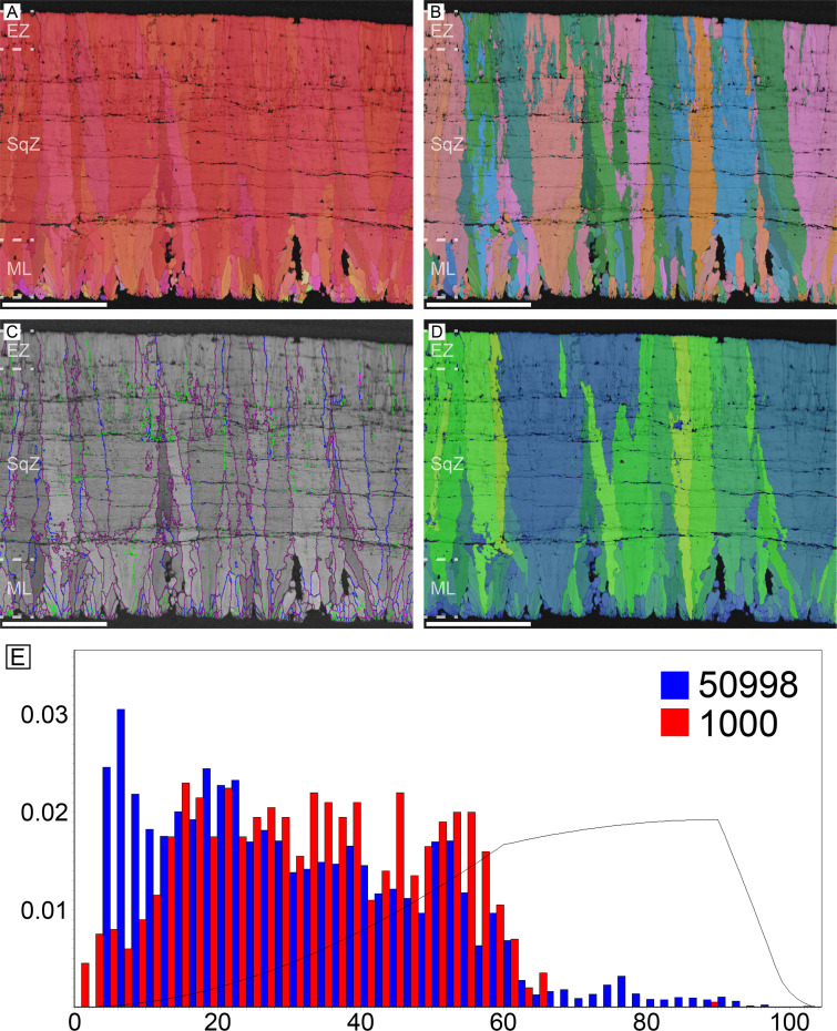 Figure 11.