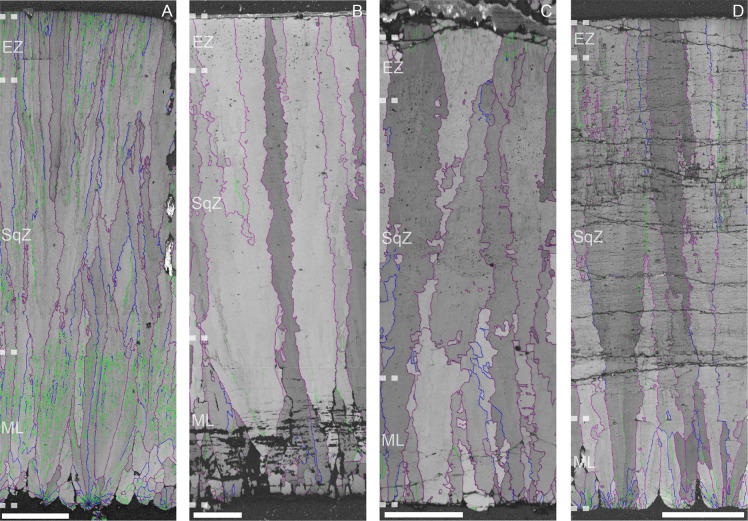 Figure 1—figure supplement 1.