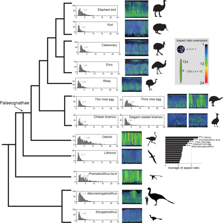 Appendix 6—figure 3.