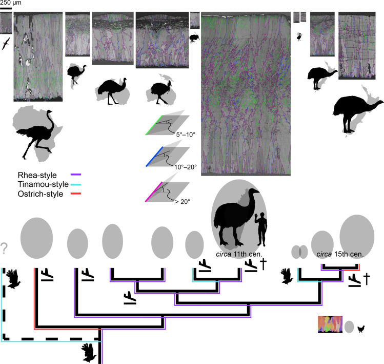 Figure 14.