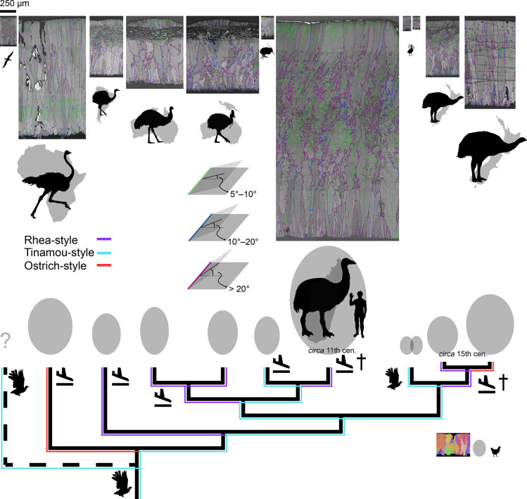 Figure 14—figure supplement 2.