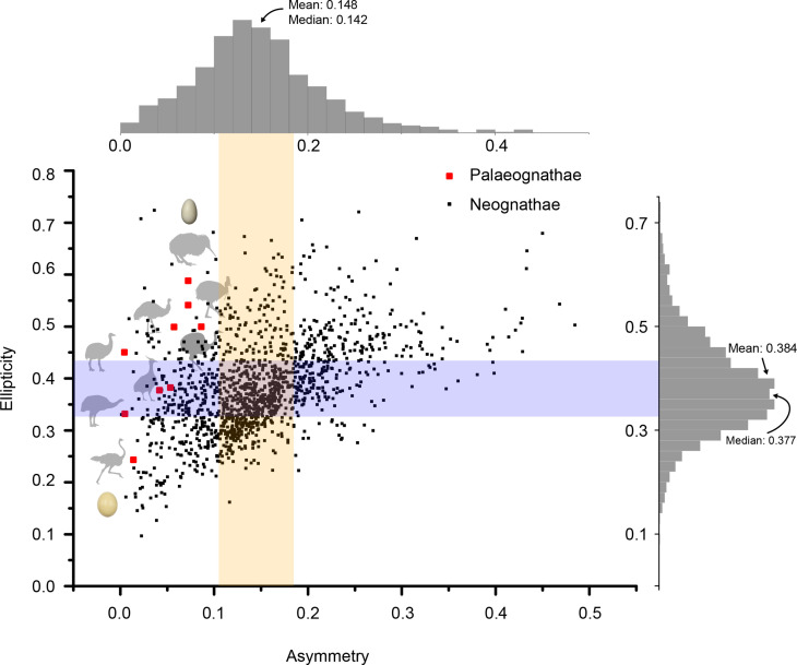 Figure 14—figure supplement 1.