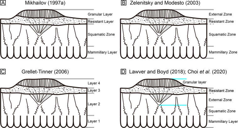 Figure 3—figure supplement 1.