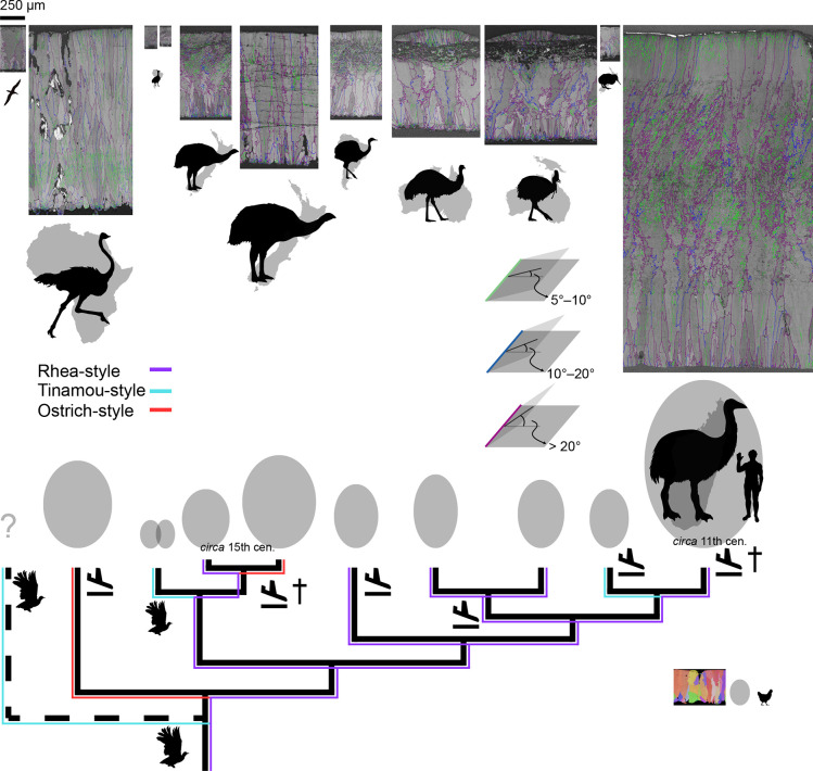 Appendix 6—figure 2.