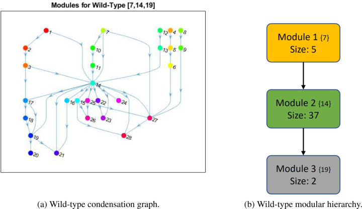 Figure 5: