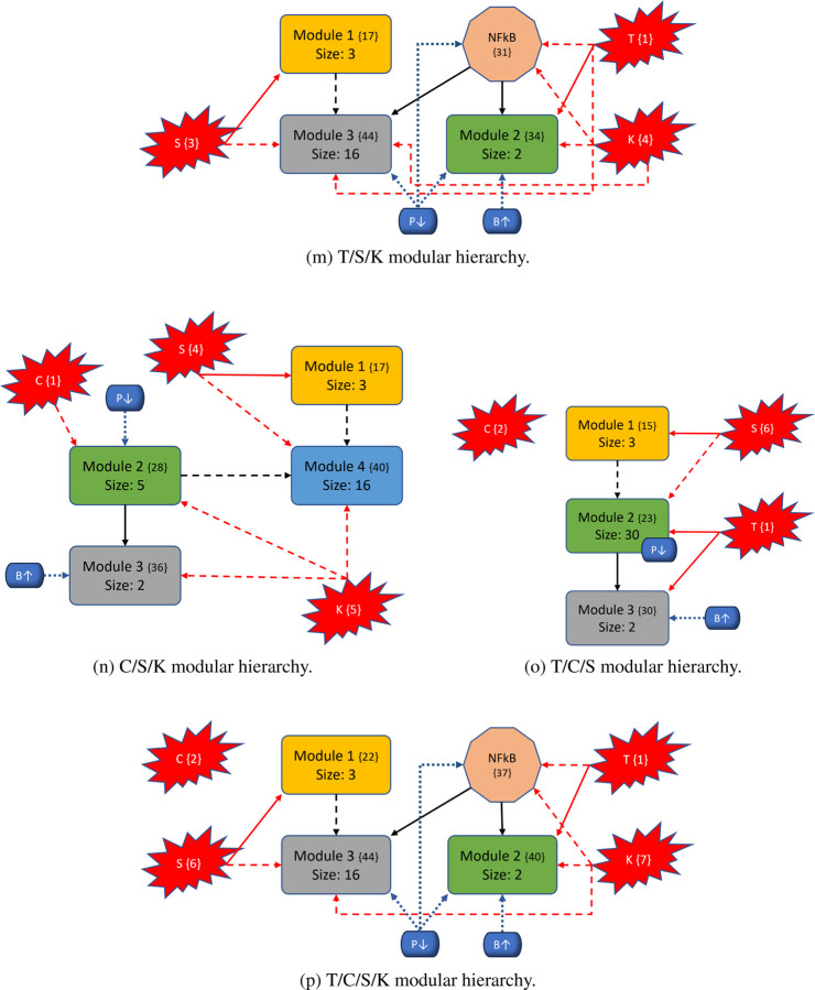 Figure 6: