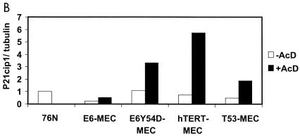 FIG. 8.