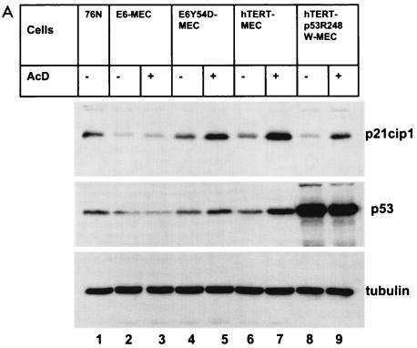 FIG. 8.