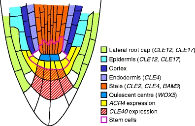 Fig. 3