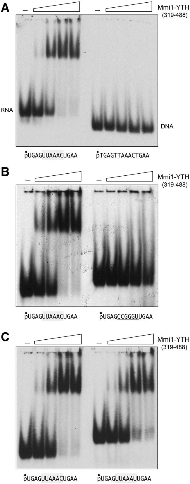 FIGURE 10.