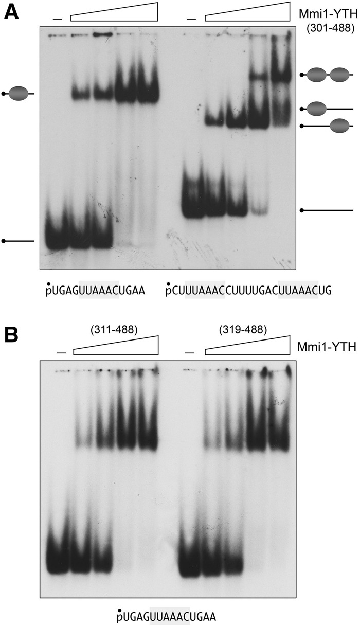 FIGURE 9.