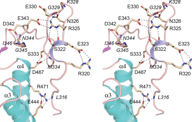 FIGURE 12.