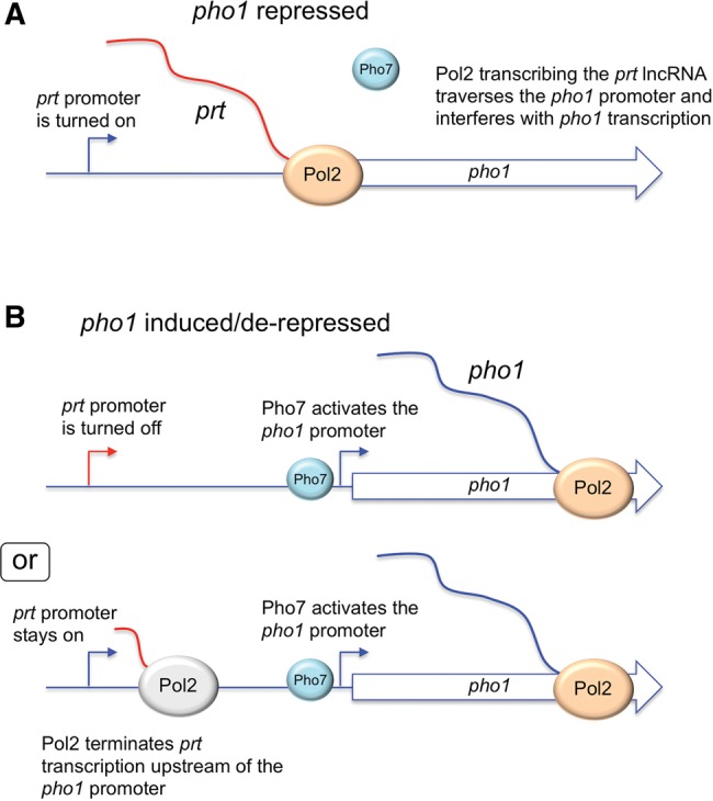 FIGURE 14.