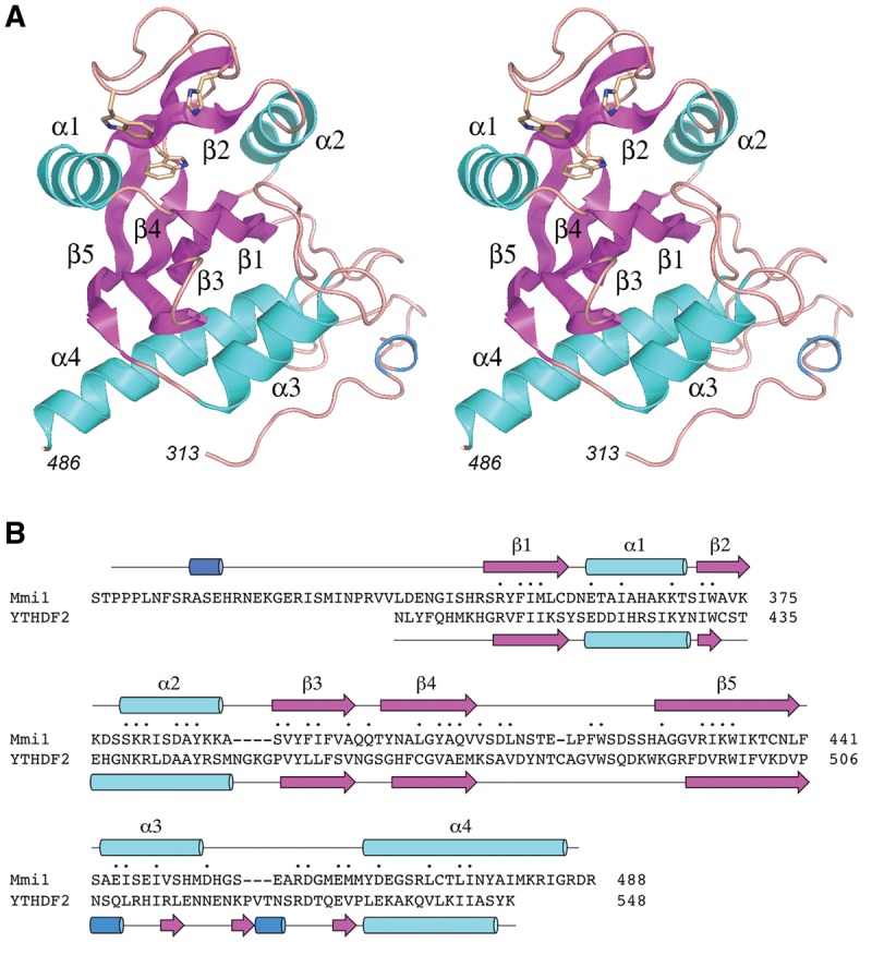 FIGURE 11.