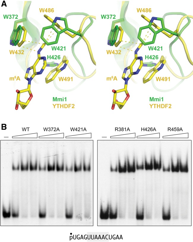 FIGURE 13.