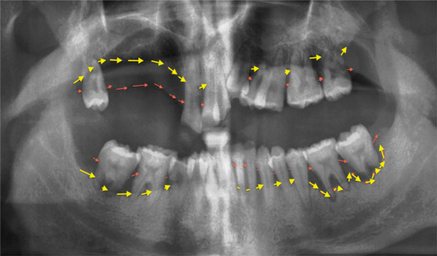 Fig. 1