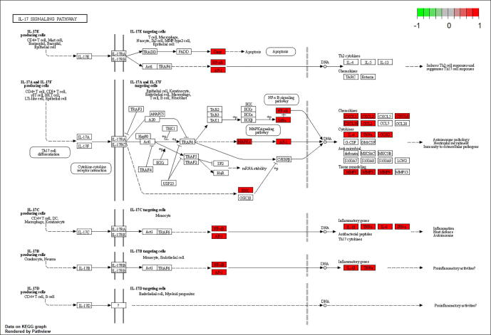 Fig. 10