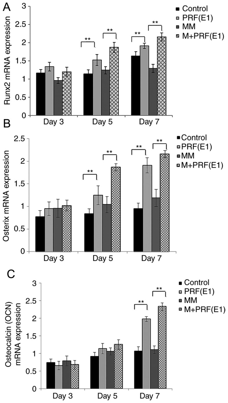 Figure 6.