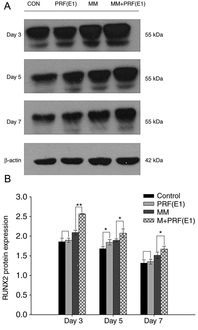 Figure 7.