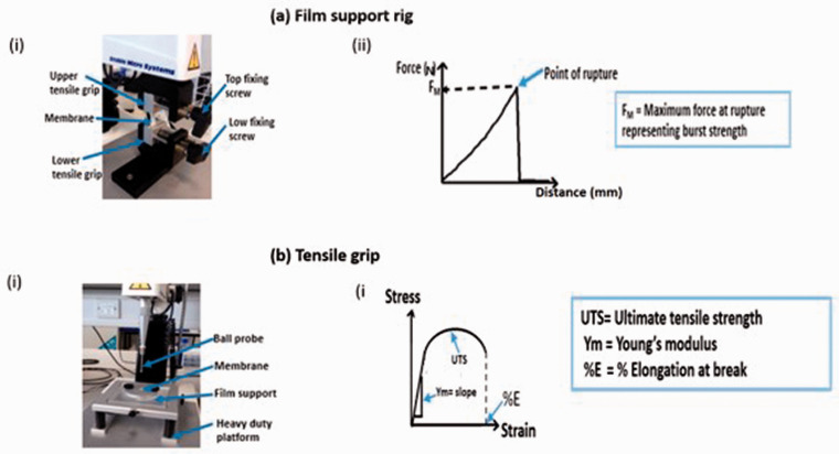 Figure 2.