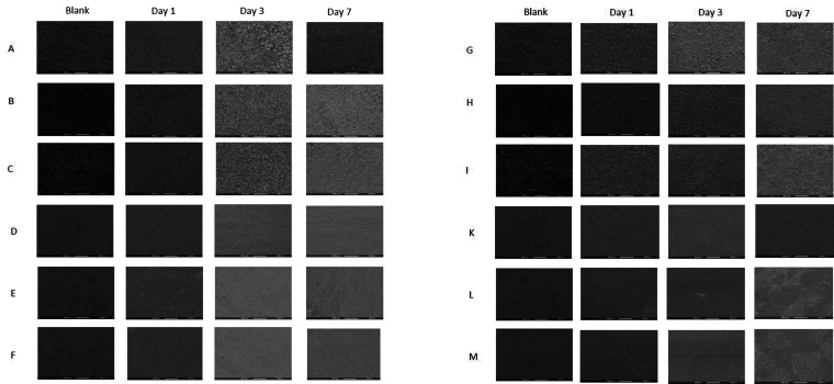 Figure 11.