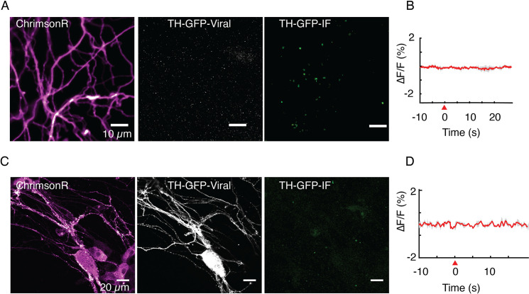 Figure 2—figure supplement 2.