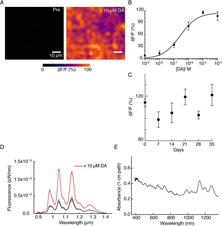 Figure 1—figure supplement 3.