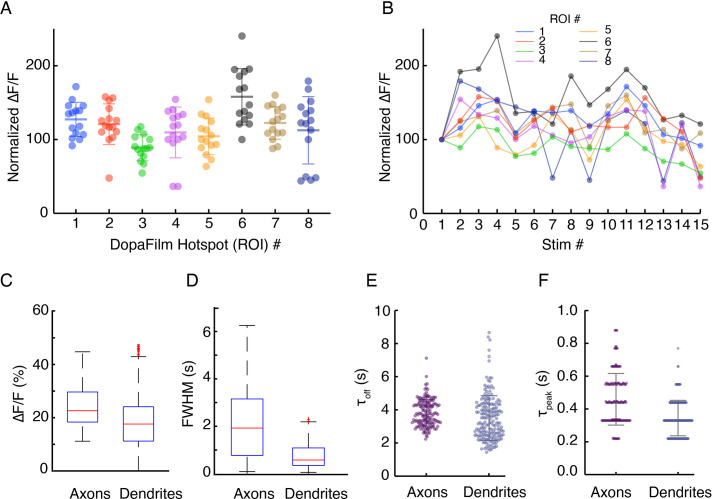 Figure 5—figure supplement 4.